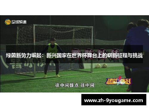 绿茵新势力崛起：新兴国家在世界杯舞台上的崭新征程与挑战