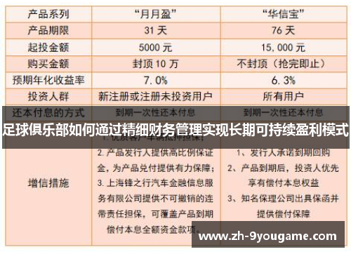 足球俱乐部如何通过精细财务管理实现长期可持续盈利模式