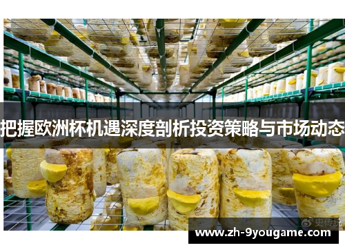 把握欧洲杯机遇深度剖析投资策略与市场动态