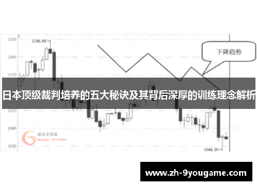 日本顶级裁判培养的五大秘诀及其背后深厚的训练理念解析
