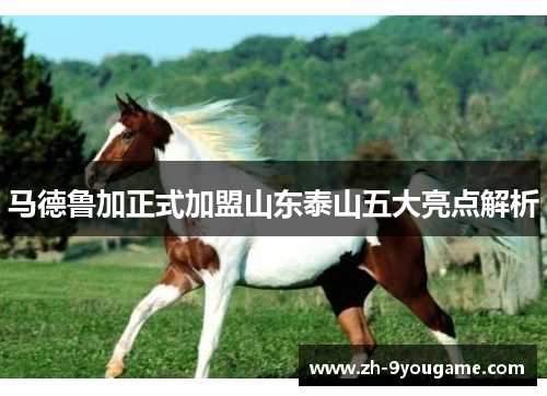 马德鲁加正式加盟山东泰山五大亮点解析