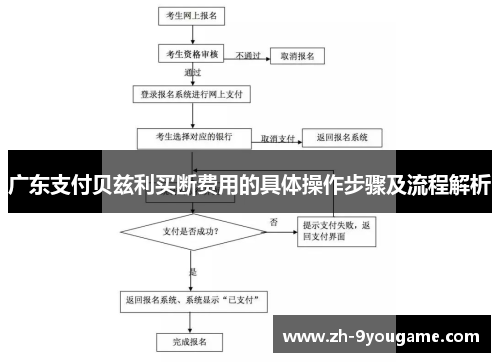 广东支付贝兹利买断费用的具体操作步骤及流程解析