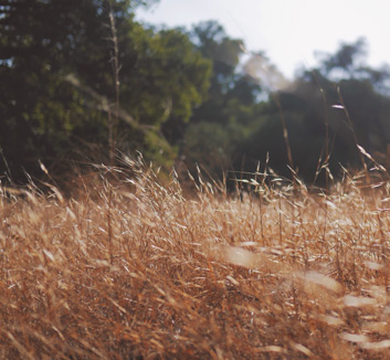 决胜时刻！欧预赛关键一战引人注目！